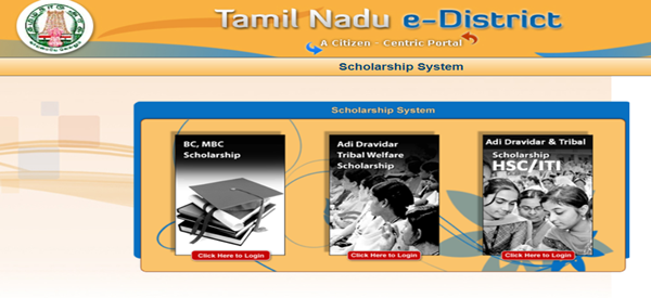TN E District Scholarship - Homepage