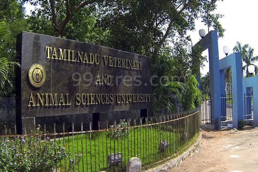 TANUVAS - Tamil Nadu Veterinary And Animal Sciences University: Ranking,  Courses, Fees, Admission, Placements