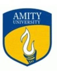 Amity Institute of Competitive Intelligence and Strategic Management, [AICISM] Noida