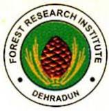 FRI Dehradun - Forest Research Institute