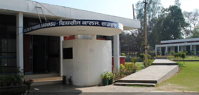 Guru Angad Dev Veterinary And Animal Sciences University Images and Videos  (High Resolution Pictures & Videos)