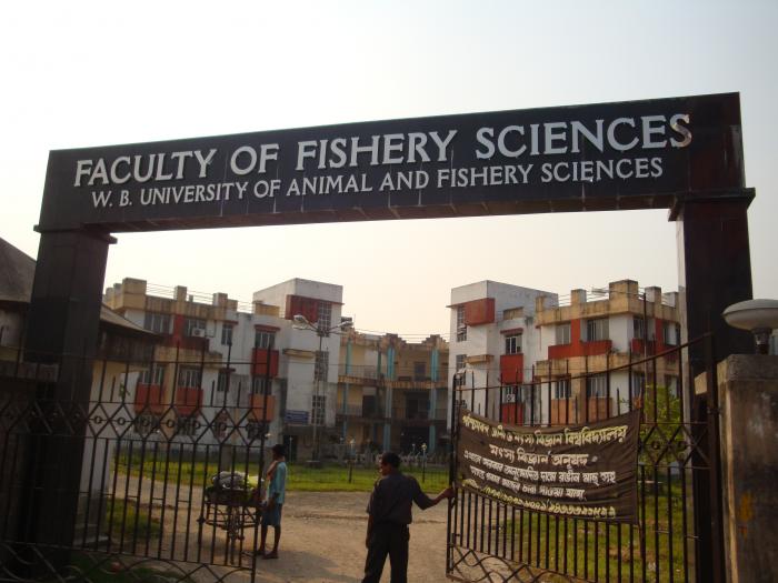West Bengal University of Animal and Fishery Sciences: Ranking, Courses,  Fees, Admission, Placements