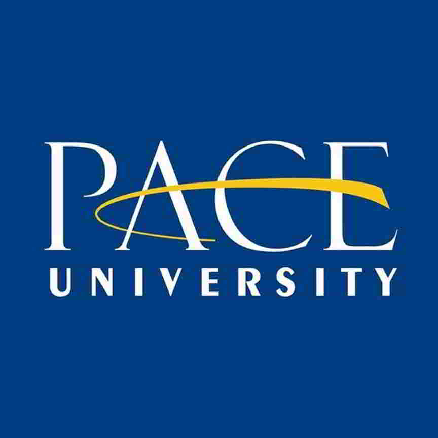 pace university essay requirements
